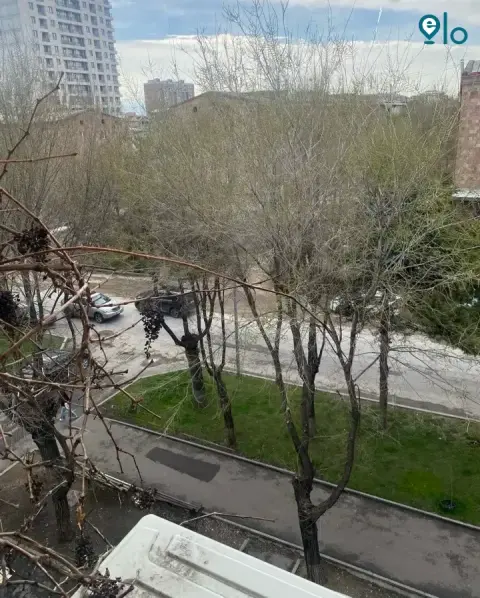 1775366789_d2c0665df5bc989f.webp