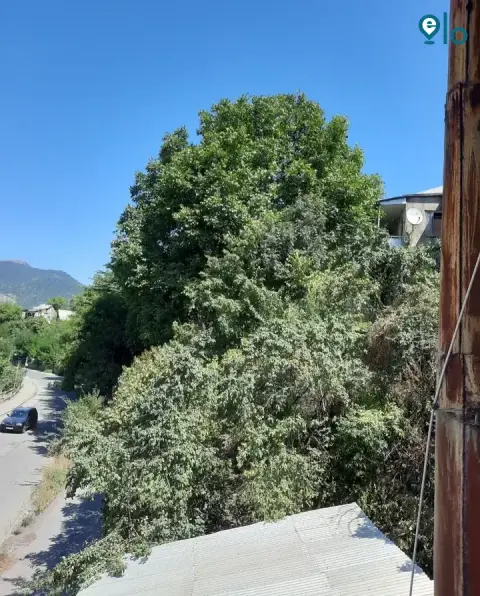 1776156751_d24317c7e7130c6e.webp