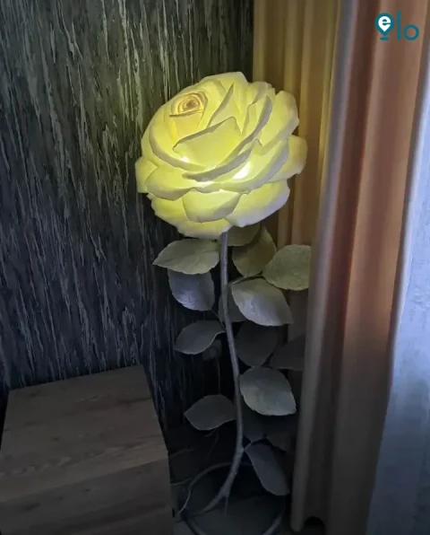 1779365323_bb5f7156f231a430.webp