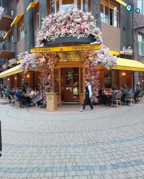 1780341187_3af30802700aa306.webp