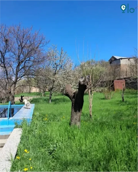 1780496164_69ef5410862dff70.webp