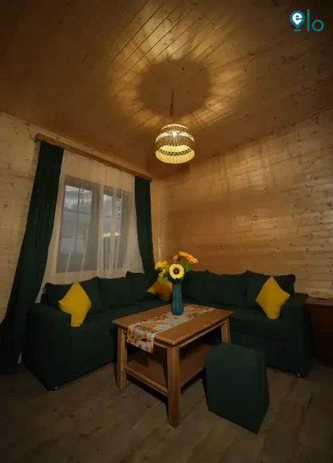 1780502898_079f19044c06fb4d.webp