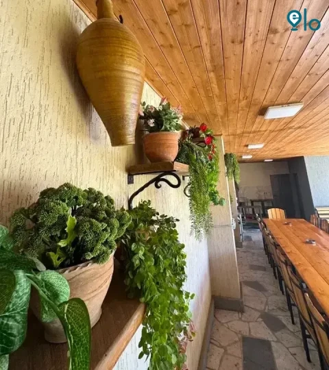 1781044777_88d6d8a76efef345.webp